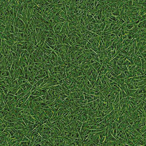 Линолеум бытовой "IVC" Neo Grass 25 (3м) — купить в Екатеринбурге